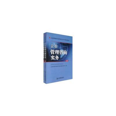企業(yè)管理咨詢實務(wù)(全兩冊)圖片-