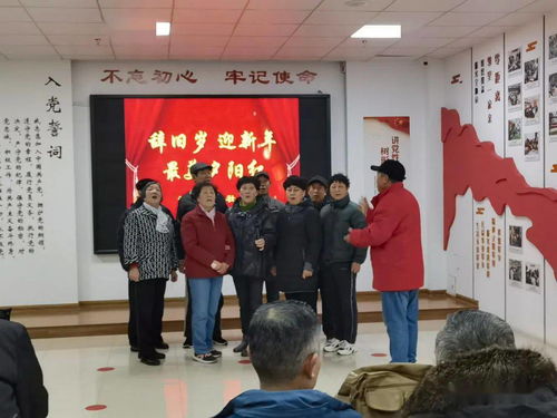 黨建領(lǐng)航聚合力，文化惠民暖人心——零距離黨支部參與邢家山社區(qū)“慶元旦·迎新年·最美夕陽紅”主題文藝匯演